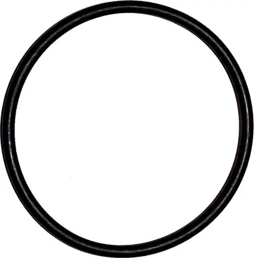 Wolf-O-Ring-54-x-3-EPDM-fuer-COB-8905975 gallery number 1